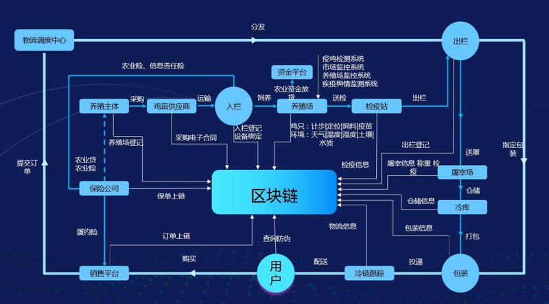 区块链技术在金融行业的革新之路